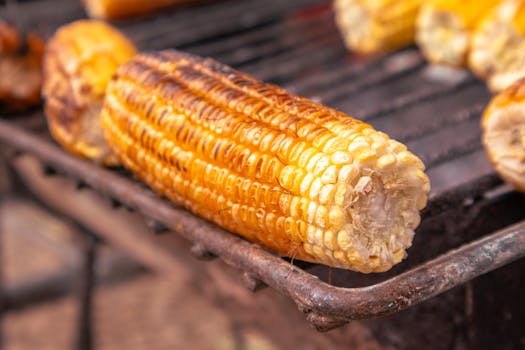 Close-up of grilled corn on the cob over a charcoal grill, capturing its golden texture and appetizing look.